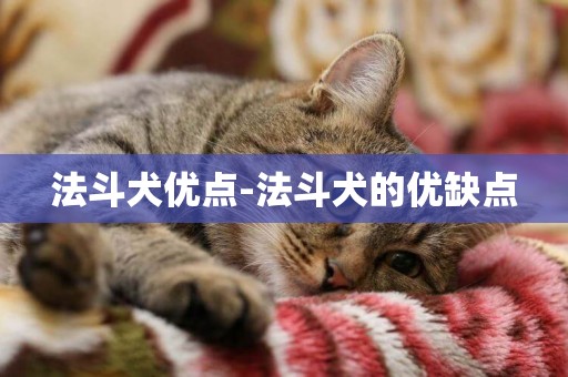 法斗犬優點-法斗犬的優缺點