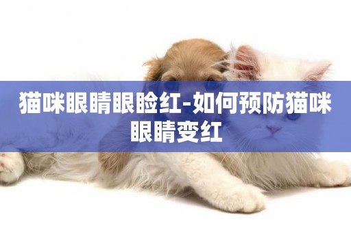貓咪眼睛眼瞼紅-如何預防貓咪眼睛變紅