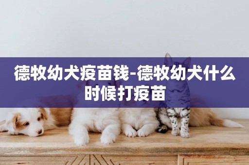 德牧幼犬疫苗錢-德牧幼犬什么時候打疫苗