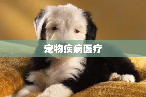 寵物疾病醫療