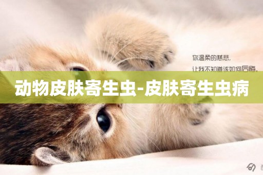 動物皮膚寄生蟲-皮膚寄生蟲病