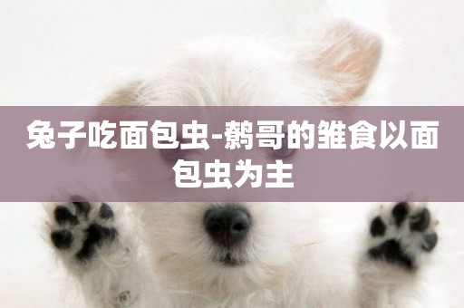 兔子吃面包蟲-鷯哥的雛食以面包蟲為主