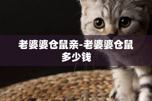 老婆婆倉鼠親-老婆婆倉鼠多少錢