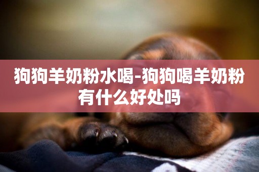 狗狗羊奶粉水喝-狗狗喝羊奶粉有什么好處嗎