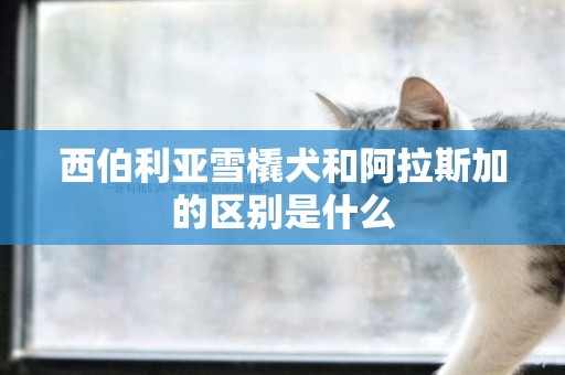 西伯利亞雪橇犬和阿拉斯加的區別是什么