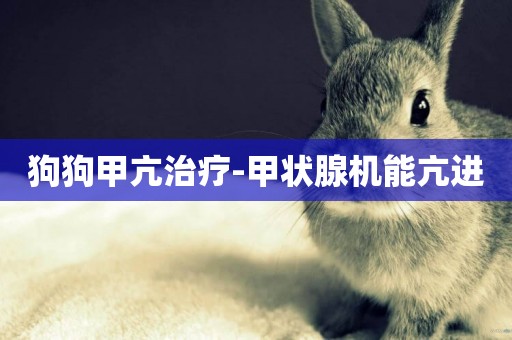 狗狗甲亢治療-甲狀腺機能亢進