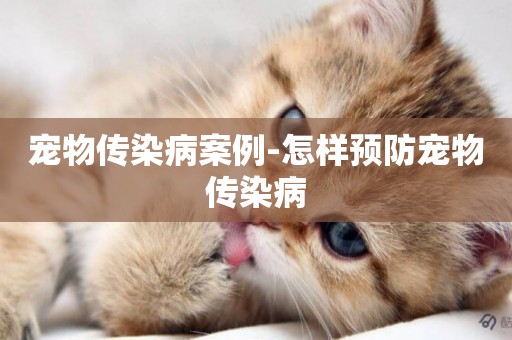 寵物傳染病案例-怎樣預防寵物傳染病