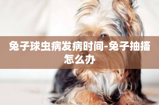 兔子球蟲病發病時間-兔子抽搐怎么辦