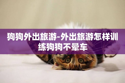 狗狗外出旅游-外出旅游怎樣訓練狗狗不暈車