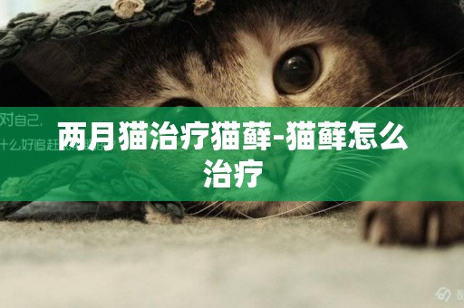 兩月貓治療貓蘚-貓蘚怎么治療