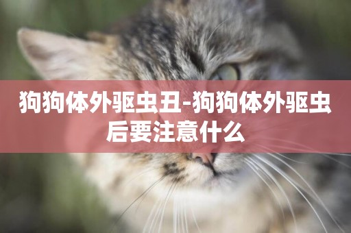 狗狗體外驅蟲丑-狗狗體外驅蟲后要注意什么
