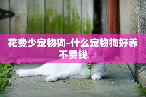 花費少寵物狗-什么寵物狗好養不費錢