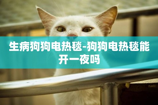 生病狗狗電熱毯-狗狗電熱毯能開一夜嗎