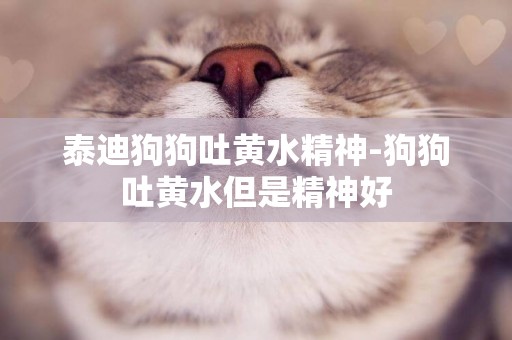 泰迪狗狗吐黃水精神-狗狗吐黃水但是精神好