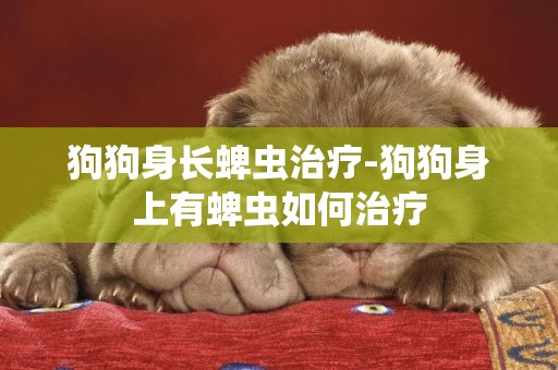 狗狗身長蜱蟲治療-狗狗身上有蜱蟲如何治療