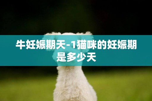 牛妊娠期天-1貓咪的妊娠期是多少天