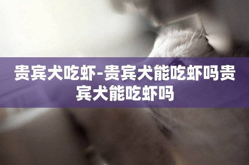 貴賓犬吃蝦-貴賓犬能吃蝦嗎貴賓犬能吃蝦嗎