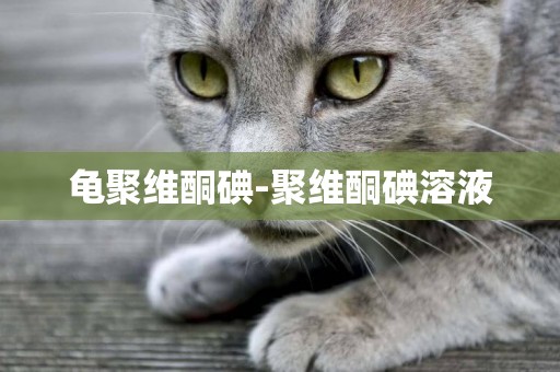 龜聚維酮碘-聚維酮碘溶液