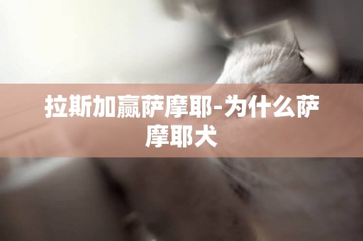 拉斯加贏薩摩耶-為什么薩摩耶犬