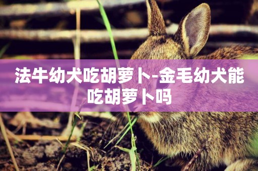 法牛幼犬吃胡蘿卜-金毛幼犬能吃胡蘿卜嗎