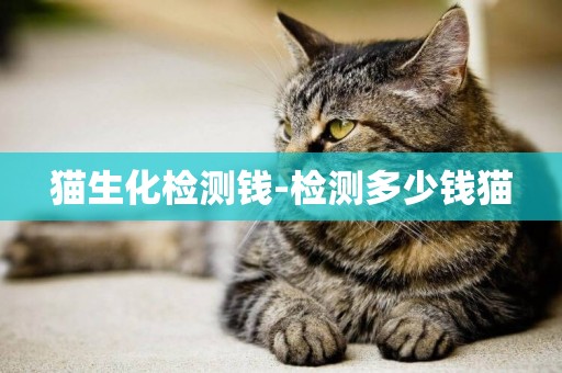 貓生化檢測錢-檢測多少錢貓