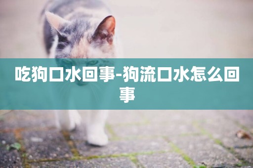 吃狗口水回事-狗流口水怎么回事