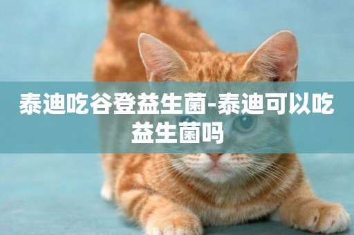 泰迪吃谷登益生菌-泰迪可以吃益生菌嗎