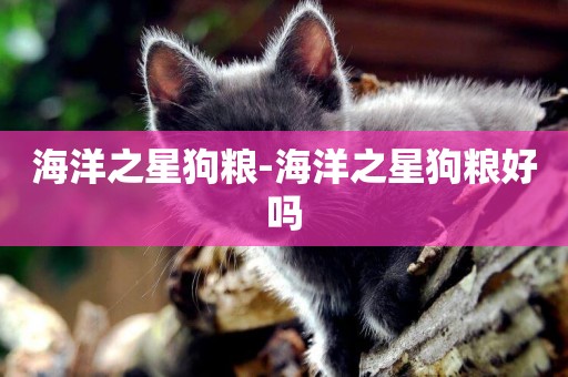 海洋之星狗糧-海洋之星狗糧好嗎