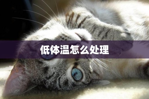 低體溫怎么處理