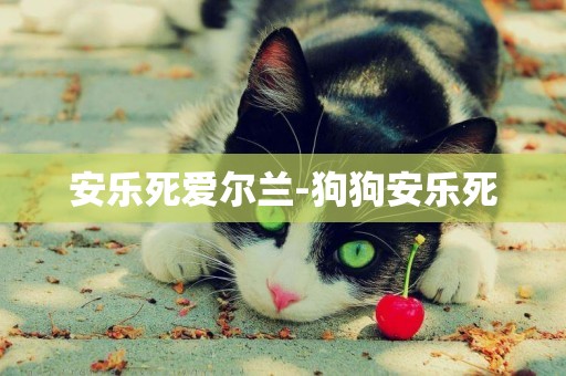 安樂死愛爾蘭-狗狗安樂死
