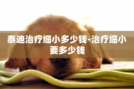 泰迪治療細小多少錢-治療細小要多少錢