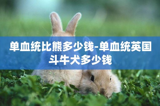 單血統比熊多少錢-單血統英國斗牛犬多少錢