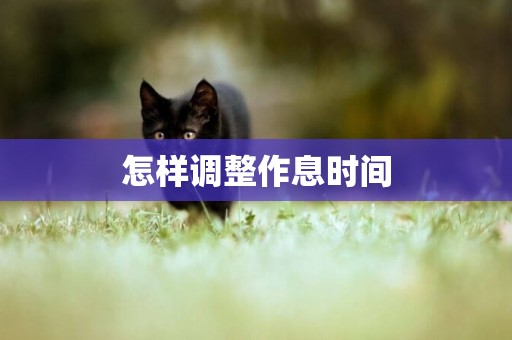 怎樣調整作息時間