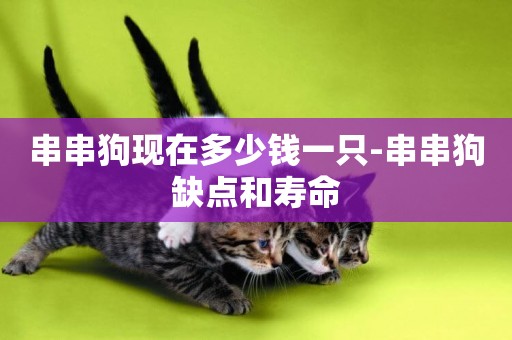 串串狗現在多少錢一只-串串狗缺點和壽命