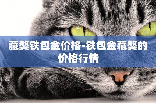藏獒鐵包金價格-鐵包金藏獒的價格行情