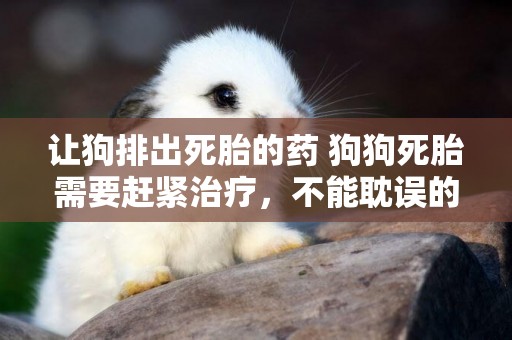 讓狗排出死胎的藥 狗狗死胎需要趕緊治療，不能耽誤的！