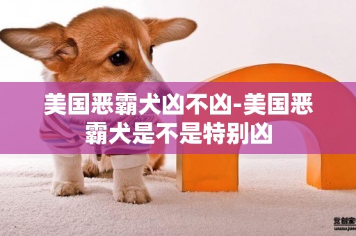 美國惡霸犬兇不兇-美國惡霸犬是不是特別兇