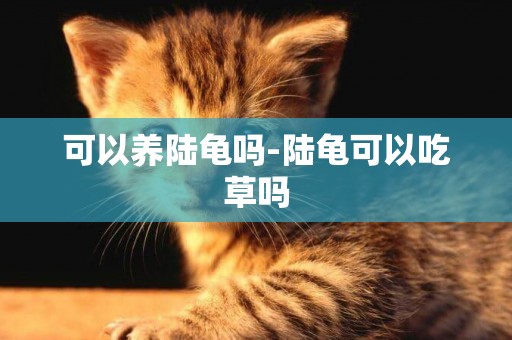 可以養陸龜嗎-陸龜可以吃草嗎