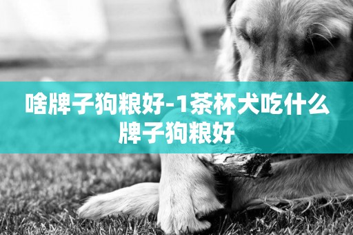 啥牌子狗糧好-1茶杯犬吃什么牌子狗糧好