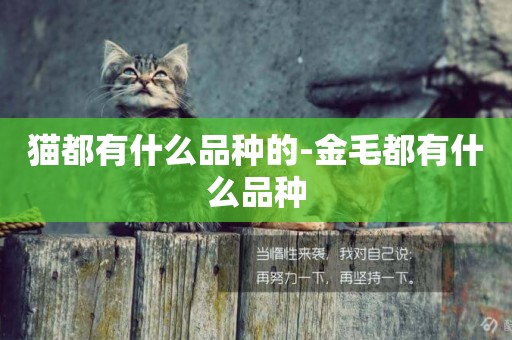 貓都有什么品種的-金毛都有什么品種