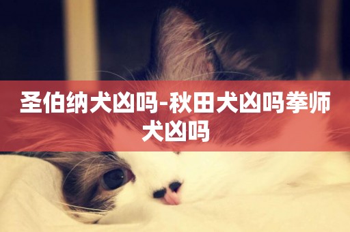 圣伯納犬兇嗎-秋田犬兇嗎拳師犬兇嗎