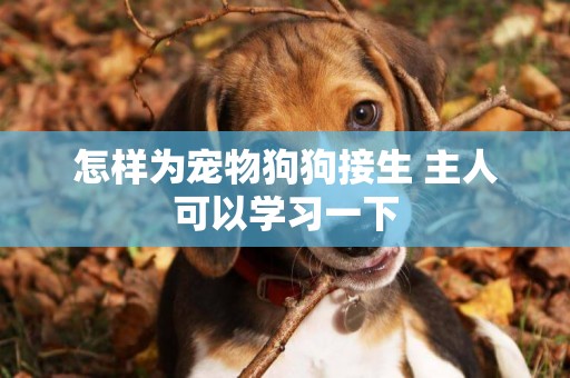 怎樣為寵物狗狗接生 主人可以學習一下