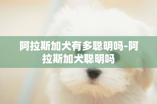 阿拉斯加犬有多聰明嗎-阿拉斯加犬聰明嗎
