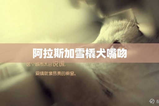 阿拉斯加雪橇犬嘴吻