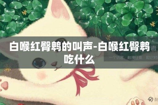 白喉紅臀鵯的叫聲-白喉紅臀鵯吃什么