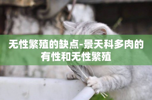 無性繁殖的缺點-景天科多肉的有性和無性繁殖