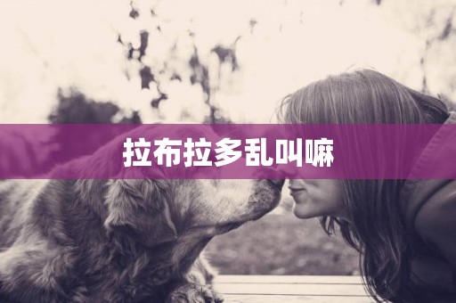 拉布拉多亂叫嘛