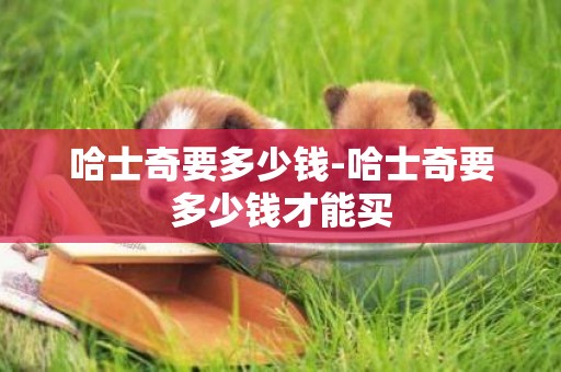 哈士奇要多少錢-哈士奇要多少錢才能買