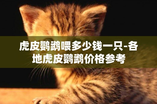 虎皮鸚鵡喂多少錢一只-各地虎皮鸚鵡價格參考