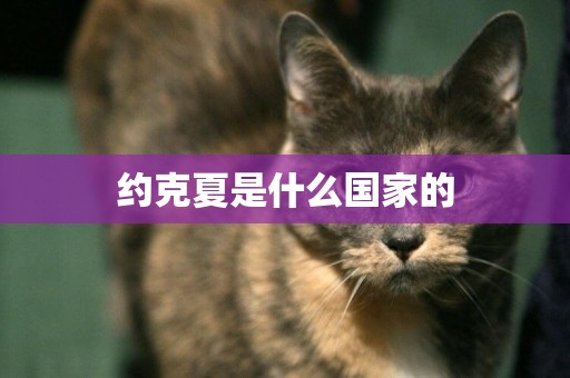 約克夏是什么國家的